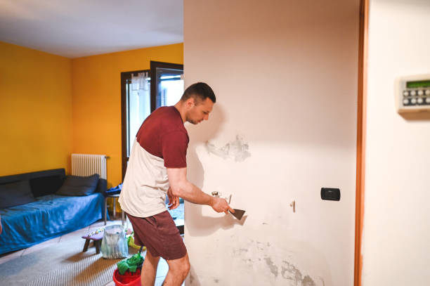 Best Office Mold Removal Services  in Roanoke, AL